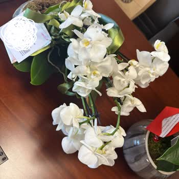 Osevio.com Yanıltıcı Çiçek Teslimatı: Hayal Kırıklığı Ve Mahcubiyet