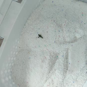 Sahte Ürün Satışı Ve İade Sorunu