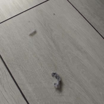 Tefal Robot Süpürge Sorunları Ve Servis Deneyimi