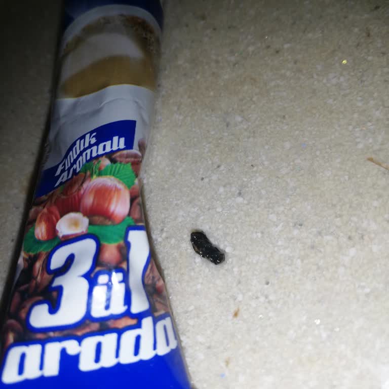 Şok Marketler Lezz Cafe Şikayeti