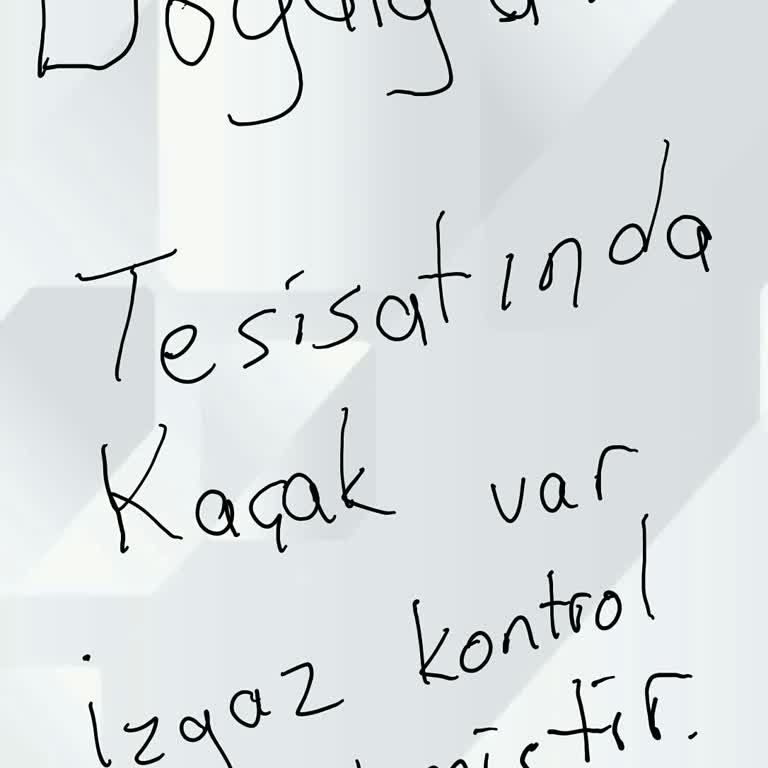 Doğalgaz Tesisatında Kaçak Ve İlgisizlik Sorunu