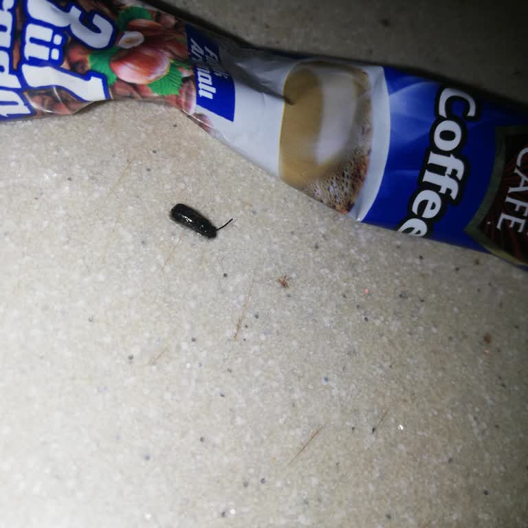 Nescafe'den Böcek Şoku