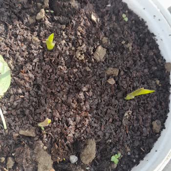 Yanlış Ürün Ve İlgisiz Mağaza Deneyimi