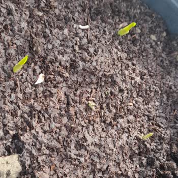 Yanlış Ürün Ve İlgisiz Mağaza Deneyimi