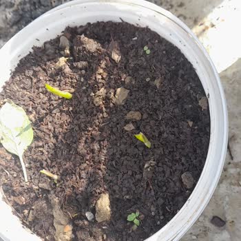 Yanlış Ürün Ve İlgisiz Mağaza Deneyimi