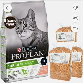 Sahte Kedi Maması Ve İade Sorunu