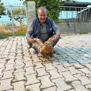 Römorkta Sürekli Arıza Ve İletişim Sorunları