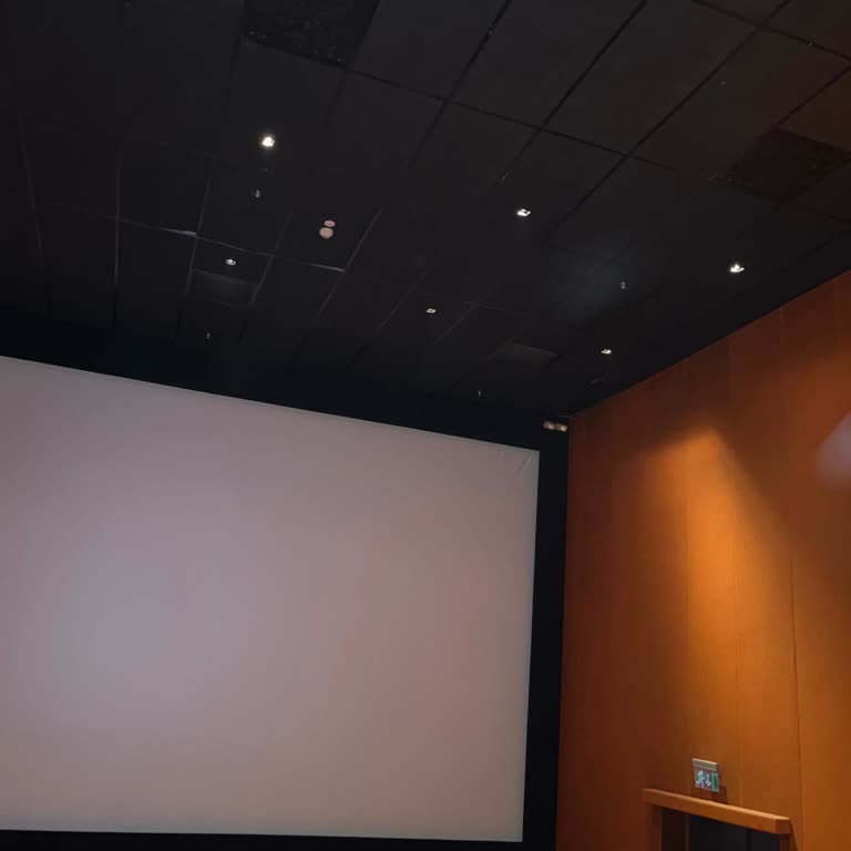 Sinema Deneyiminde Hayal Kırıklığı