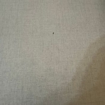 Valencia Mobilya Takımında Kalite Ve Garanti Sorunları