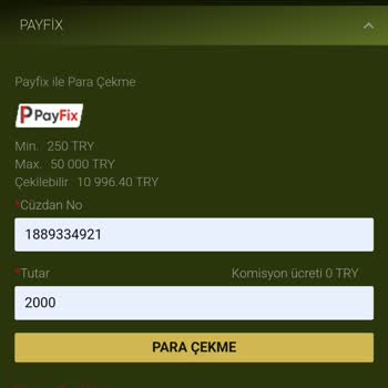 GrandPashaBet'te Yaşanan Sorunlar Ve Bonus Politikası