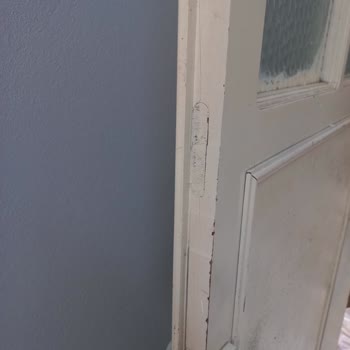 Renk Beklentisi Karşılanmadı