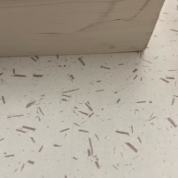 BKM Kitap'tan Gelen Hasarlı Ve Geç Teslim Edilen Kitaplar