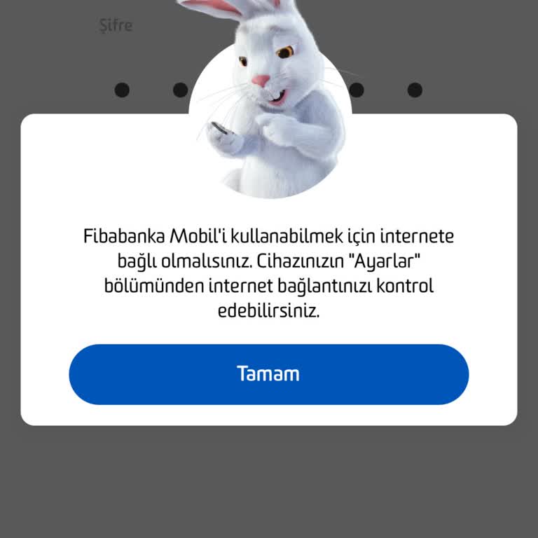 Fibabanka Mobil Uygulama Giriş Sorunu