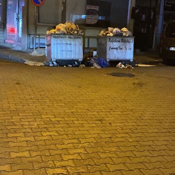 Mahalledeki Çöp Konteyneri Sorunu