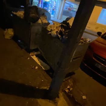 Mahalledeki Çöp Konteyneri Sorunu