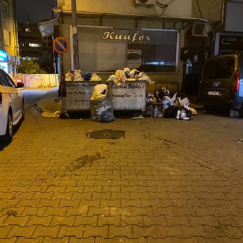 Mahalledeki Çöp Konteyneri Sorunu