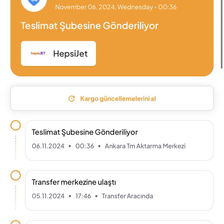 Kritik Kargo Gecikmesi: Kedimin Sağlığı Tehlikede!