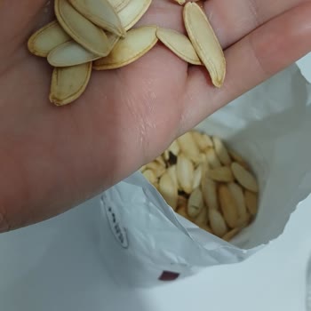 Bayat Kabak Çekirdeği Hayal Kırıklığı