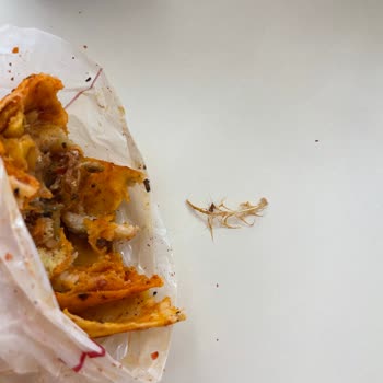 Döner Siparişinde Tavuk Tüyü Şoku