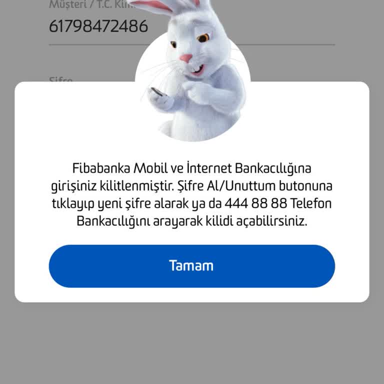 Mobil Uygulama Erişim Sorunu Ve Mağduriyet