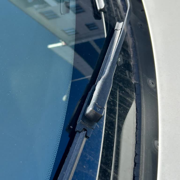 BMW Ön Cam Izgarası Sorunu