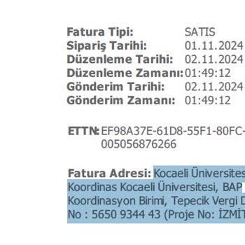 Fatura Adresi Hatası: Karakter Sınırı Mağduriyeti