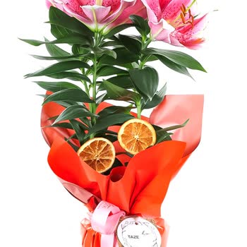 Taze Çiçek | Tazecicek.com Yanlış Çiçek Gönderimi Ve İletişim Eksikliği!