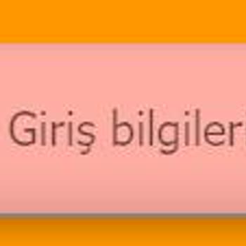 Günay Yayınları Giriş Sorunu: Doğru Bilgilere Rağmen Erişim Sağlanamıyor