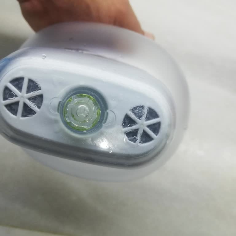 Brita Pitcher Developing Algae Despite Regular Cleaning and Filter Changes