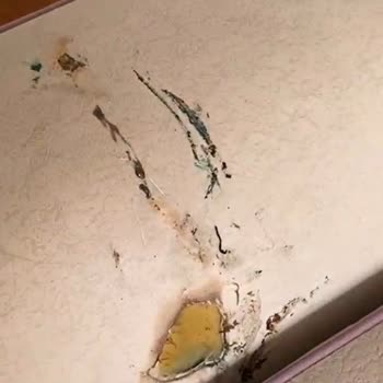 Xiaomi Redmi Note 7 Model Telefonun Ani Alev Alması Ve Müşteri Hizmetlerinin Yanıtsız Kalması