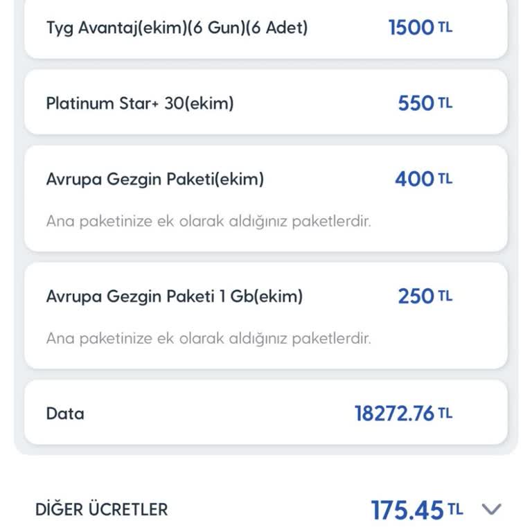 Hatalı Fatura: Yurt Dışı Paketi Mağduriyeti