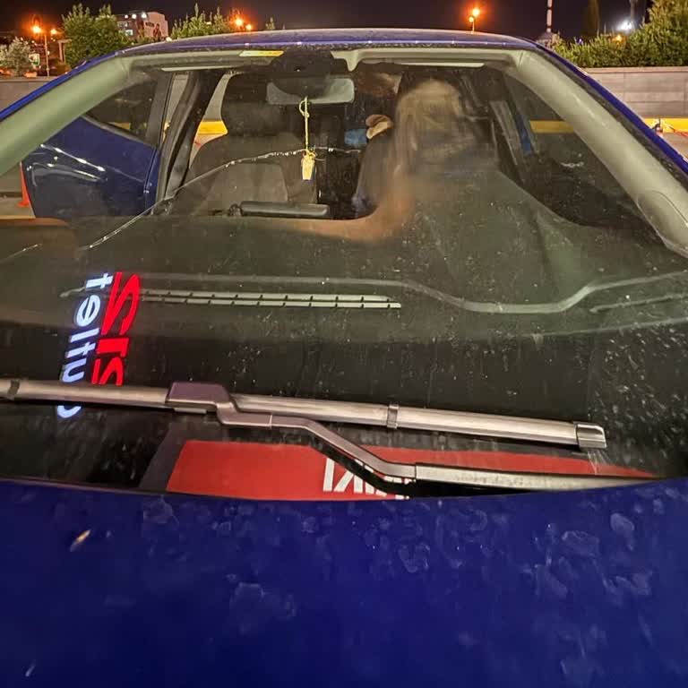 Güvenliğimizi Tehdit Eden Ön Cam Sorunu