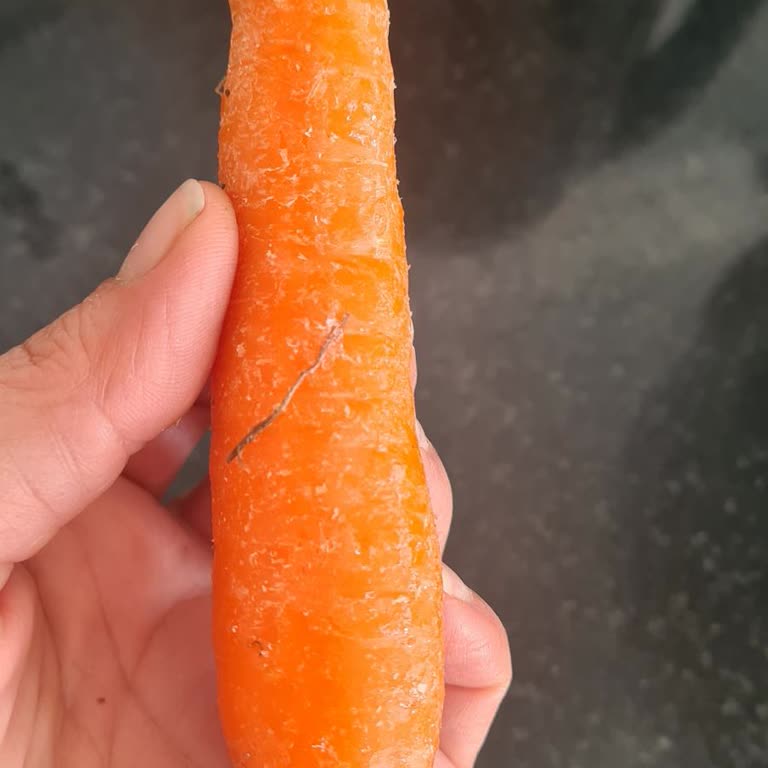 Buzdolabının Soğutma Sorunu Ve Müşteri Hizmetleri İlgisizliği