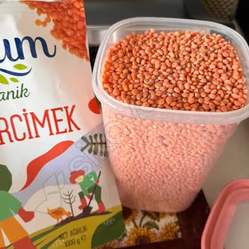 Organik Kırmızı Mercimekte Sineklenme Şoku