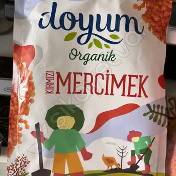 Organik Kırmızı Mercimekte Sineklenme Şoku