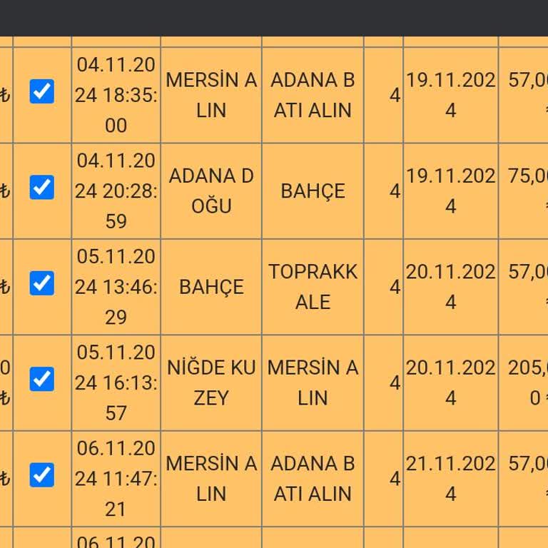 HGS Hatalı Geçiş Sorunu Ve Müşteri Hizmetleri Yanıtı