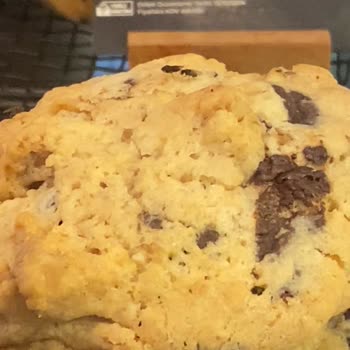 Hijyen Sorunu: Kurabiyelerin Üzerinde Gezen Böcekler