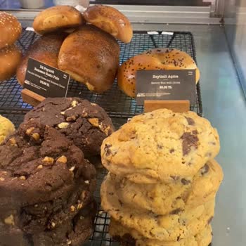 Hijyen Sorunu: Kurabiyelerin Üzerinde Gezen Böcekler