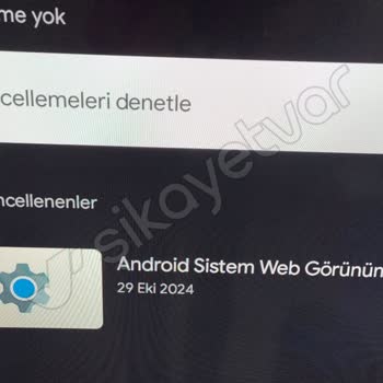 Philips TV'de Robotik Ses Ve Panelde Böcek İzleri