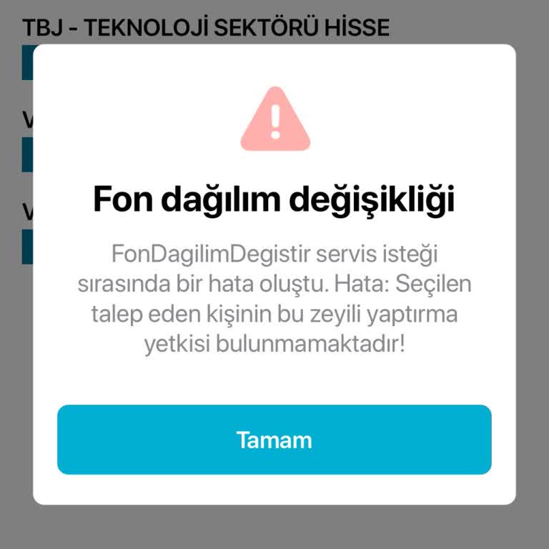 Fon Değişikliği Hatası Yüzünden BES Hesabını Yönetemiyorum