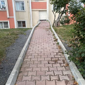 Engelli Rampası Talebimiz Neden Reddedildi?