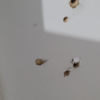 Hasarlı Gardırop Ve İletişim Sorunları