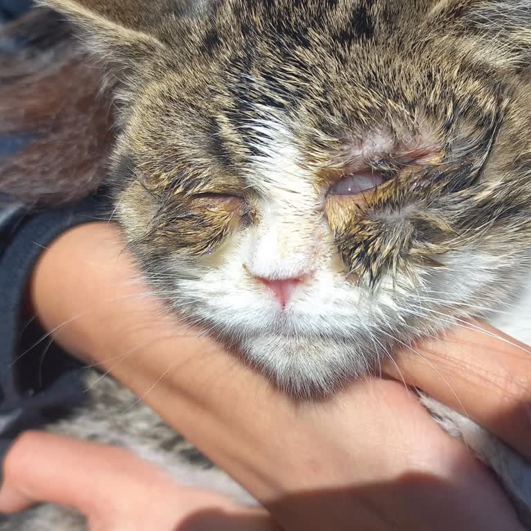 Para Odaklı Klinik: Yardım Yerine Ücret Talebi