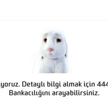 Fibabanka'da SWIFT İşlemi Sonrası Uzayan Belirsizlik