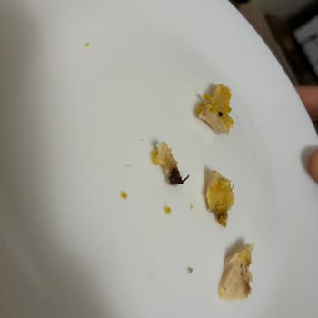 Cordon Blue Ürününde Böcek Şoku Ve Yetersiz Destek