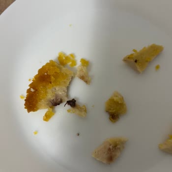 Cordon Blue Ürününde Böcek Şoku Ve Yetersiz Destek