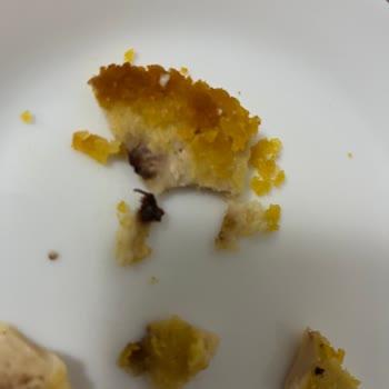 Cordon Blue Ürününde Böcek Şoku Ve Yetersiz Destek