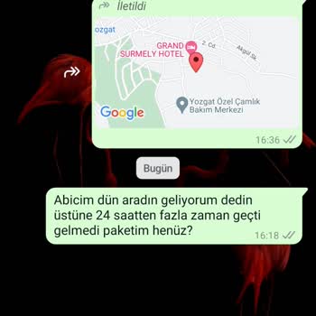 Horoz Lojistik İle Teslimat Sorunu: Kargo Bekleyişi