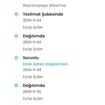 Zara Online Alışverişte Kargo Kabusu