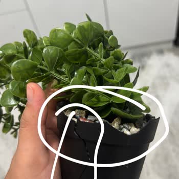 LCW Ürünlerinde Sürekli Kusur Ve İade Sorunu